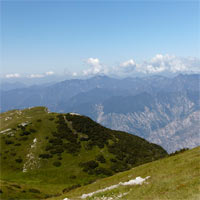 Botanische Exkursion Monte Baldo und Garda See von Andreas Altwegg 2015