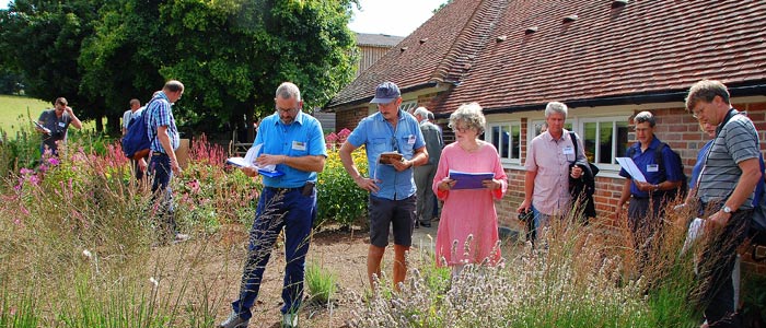 ISU-Sichtungskommission zeichnet sechs besonders gartenwürdige Neuheiten mit dem ISU-Award aus
