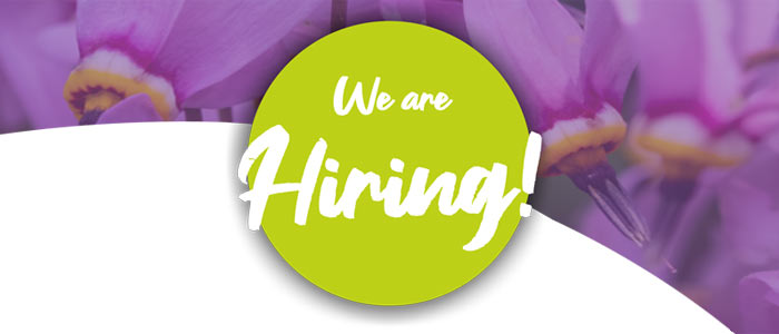 Stellenausschreibung